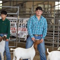 Matthew Cantu Photo 6
