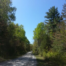Harold Rhodes Photo 35