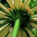 Judith Groff Photo 16