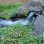 Joseph Dent Photo 38