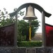 Frank Veltri Photo 14