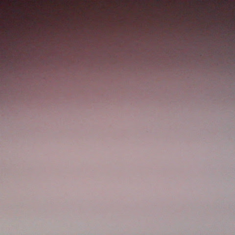 Alison Reilly Photo 4