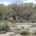 Terri Fort Photo 8