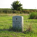 Willie Foster Photo 32
