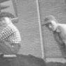 Warren Starkey Photo 14