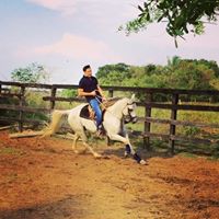 Camilo Acosta Photo 12