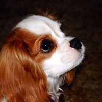 Mary Timms Photo 6
