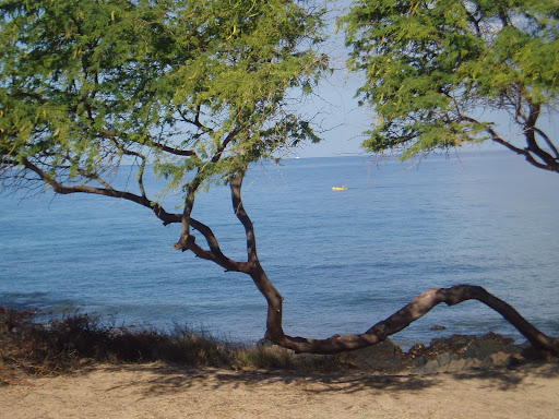 Barbara Lindquist Photo 3