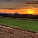 John Sutter Photo 35