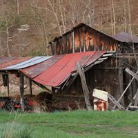 Ann Blanton Photo 7
