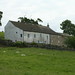 Alston Gray Photo 10