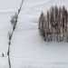 Cornelia Winters Photo 8
