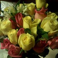 Linda Blum Photo 26