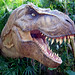 Rex Scott Photo 15
