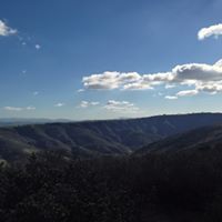 Lori Bagwell Photo 6
