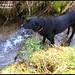 Julie Weathers Photo 17