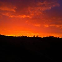Andrew Cain Photo 40