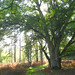 Mark Ash Photo 31