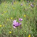 Paula Lockwood Photo 22