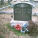 David Turner Photo 31