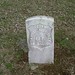 Shirley Stocks Photo 12