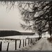 Dan Samuels Photo 21