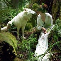 Jacqueline Ellis Photo 8