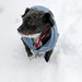 Jackie Winter Photo 6