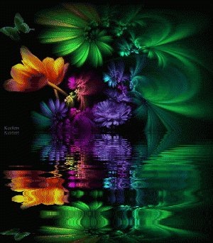 Linda Cronin Photo 8