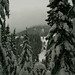 Steven Piatt Photo 6