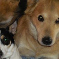 Karen Scruggs Photo 4