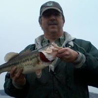 Darrell Cook Photo 19