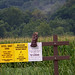 Debbie Lingle Photo 7