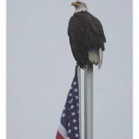 Joseph Schmitt Photo 16
