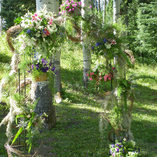 Cindy Shelton Photo 38