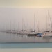 Bruce Mccurdy Photo 17