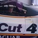 Bruce Cutting Photo 13