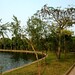 Tuan Ho Photo 24