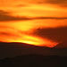 Annette Hale Photo 31