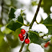 Holly Welch Photo 20