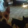Nancy Zeigler Photo 14