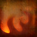 Brad Rust Photo 10