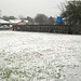 Stephen Culp Photo 15