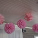 Alice Swarts Photo 6