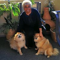 Joyce Jenkins Photo 34