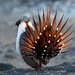 Mark Sager Photo 25