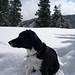 Stacey Petty Photo 15