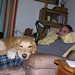 Calvin Scott Photo 38