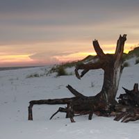 Franklin Mckinney Photo 7