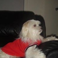 Brandy Prater Photo 6